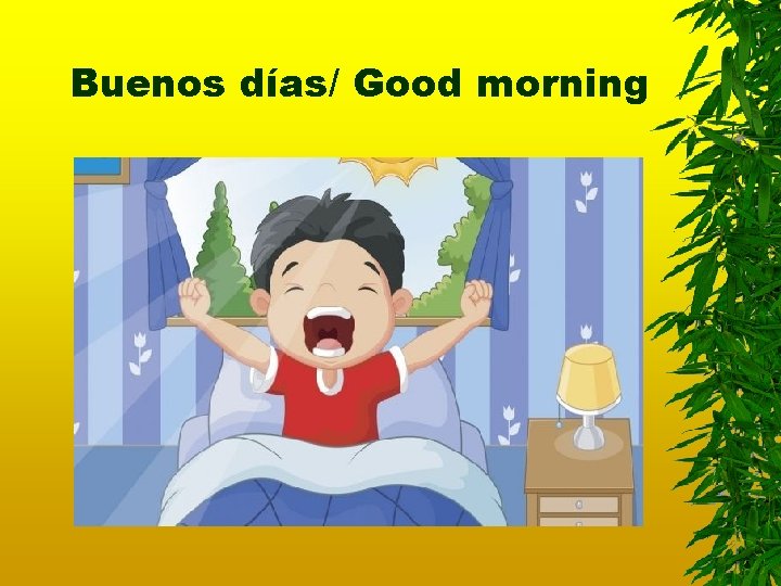 Buenos días/ Good morning 