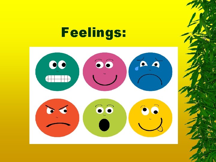 Feelings: 