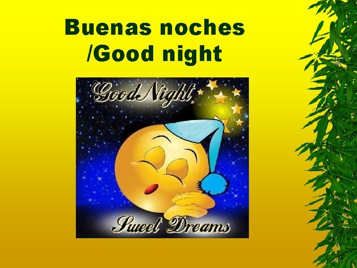 Buenas noches /Good night 
