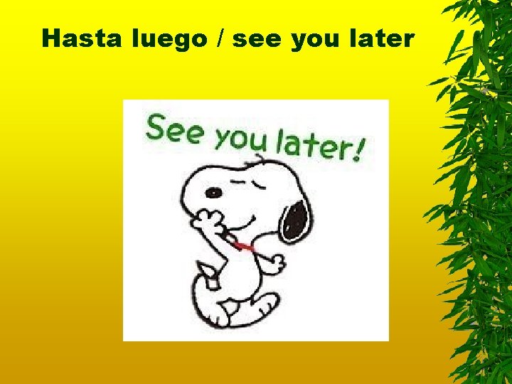 Hasta luego / see you later 