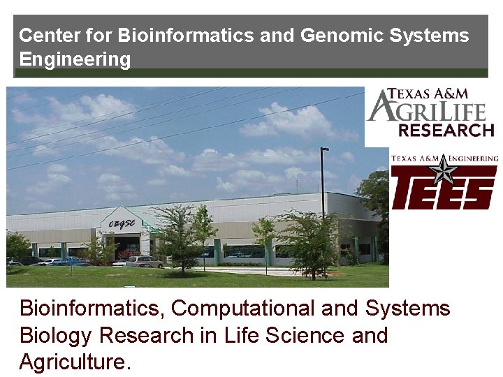 Center for Bioinformatics and Genomic Systems Engineering Bioinformatics, Computational and Systems Biology Research in