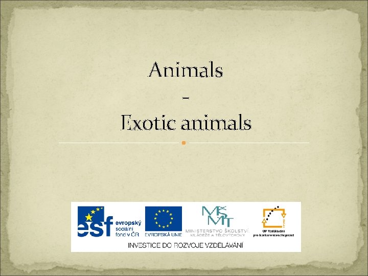 Animals Exotic animals 