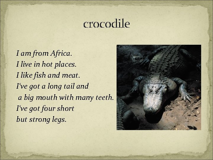 crocodile I am from Africa. I live in hot places. I like fish and