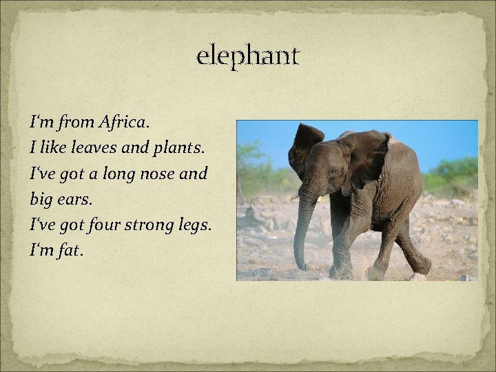 elephant I‘m from Africa. I like leaves and plants. I‘ve got a long nose