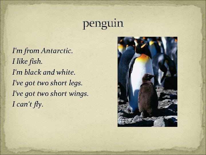 penguin I‘m from Antarctic. I like fish. I‘m black and white. I‘ve got two