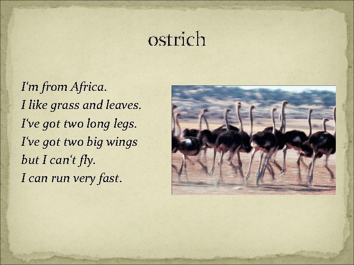 ostrich I‘m from Africa. I like grass and leaves. I‘ve got two long legs.