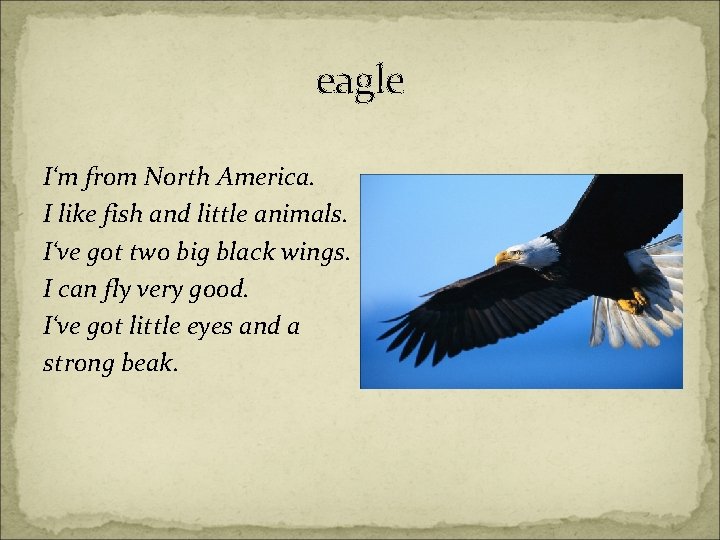 eagle I‘m from North America. I like fish and little animals. I‘ve got two