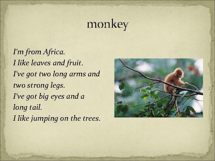 monkey I‘m from Africa. I like leaves and fruit. I‘ve got two long arms