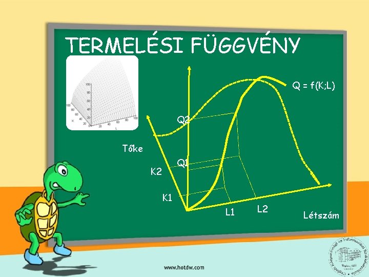 TERMELÉSI FÜGGVÉNY Q = f(K; L) Q 2 Tőke Q 1 K 2 K