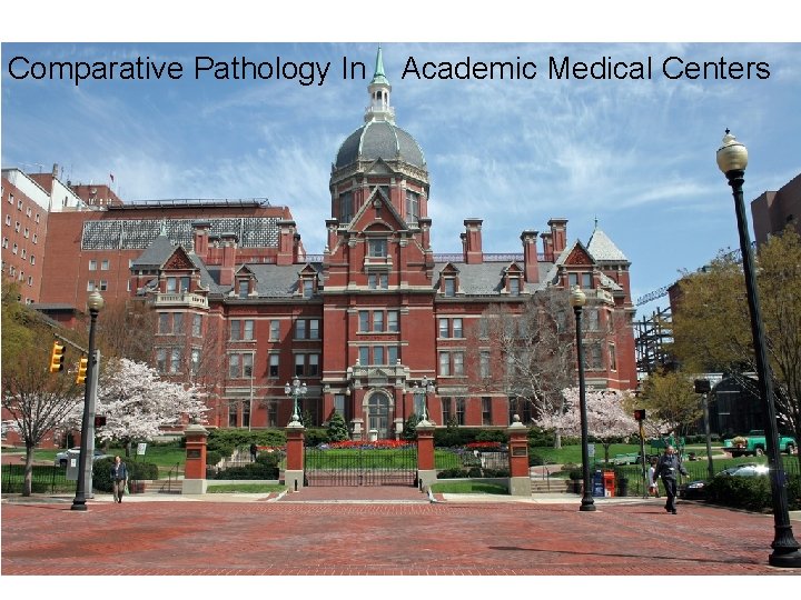 Comparative Pathology In Academic Medical Centers 