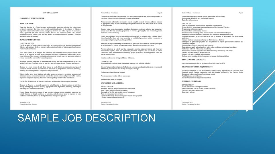 SAMPLE JOB DESCRIPTION 