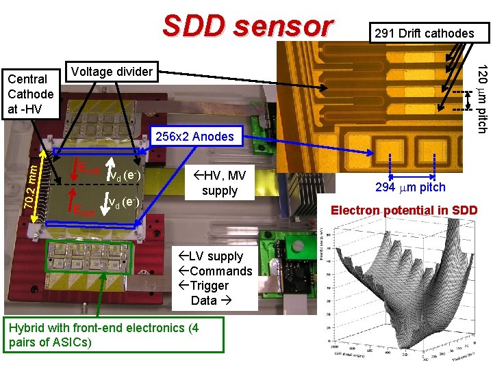 SDD sensor 120 mm pitch Central Cathode at -HV 291 Drift cathodes Voltage divider