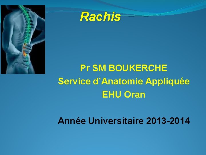 Rachis Pr SM BOUKERCHE Service d’Anatomie Appliquée EHU Oran Année Universitaire 2013 -2014 