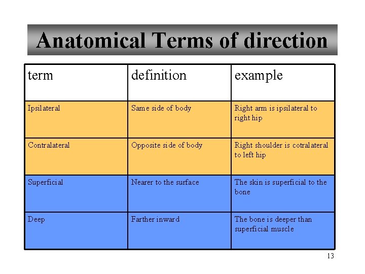 Anatomical Terms of direction term definition example Ipsilateral Same side of body Right arm