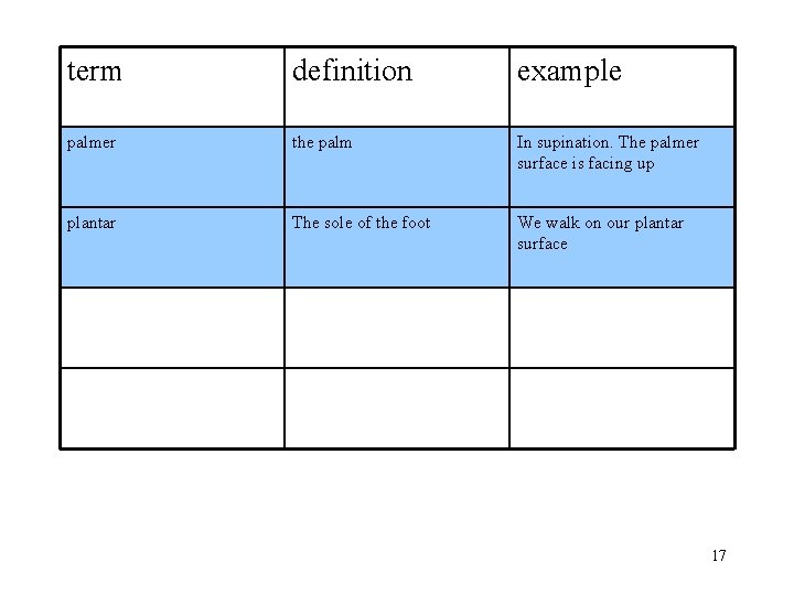 term definition example palmer the palm In supination. The palmer surface is facing up