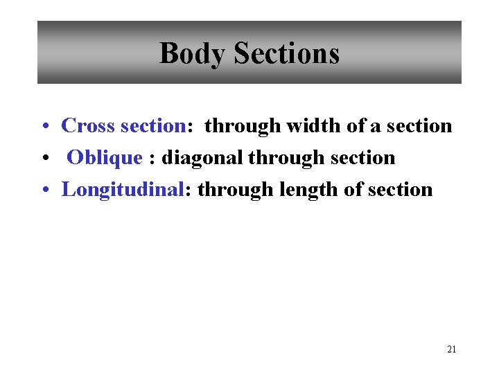 Body Sections • Cross section: through width of a section • Oblique : diagonal