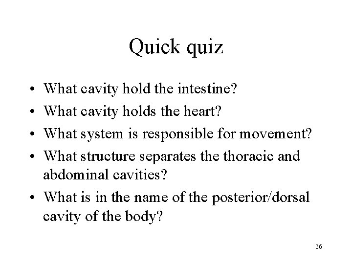 Quick quiz • • What cavity hold the intestine? What cavity holds the heart?