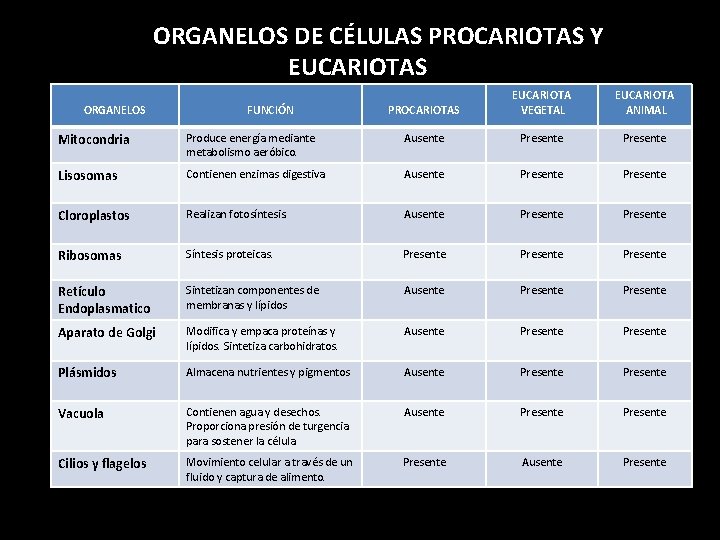ORGANELOS DE CÉLULAS PROCARIOTAS Y EUCARIOTAS ORGANELOS FUNCIÓN PROCARIOTAS EUCARIOTA VEGETAL EUCARIOTA ANIMAL Mitocondria