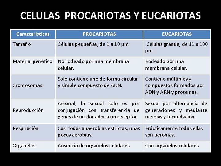 CELULAS PROCARIOTAS Y EUCARIOTAS Características PROCARIOTAS EUCARIOTAS Tamaño Células pequeñas, de 1 a 10