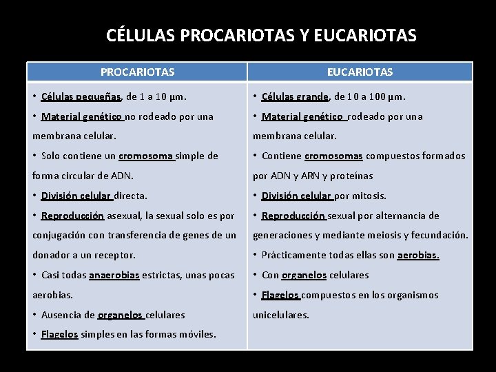 CÉLULAS PROCARIOTAS Y EUCARIOTAS PROCARIOTAS EUCARIOTAS • Células pequeñas, de 1 a 10 µm.