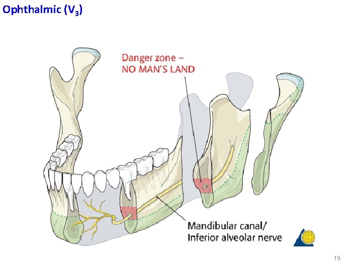 Ophthalmic (V 3) 19 