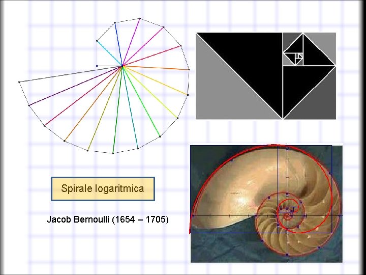 Spirale degli irrazionali Teodoro di Cirene (465 a. C. - ? ) Spirale logaritmica
