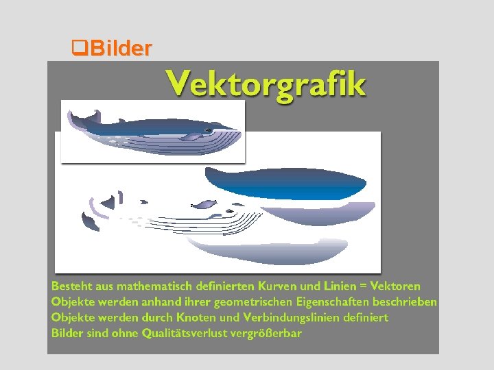 q. Bilder 