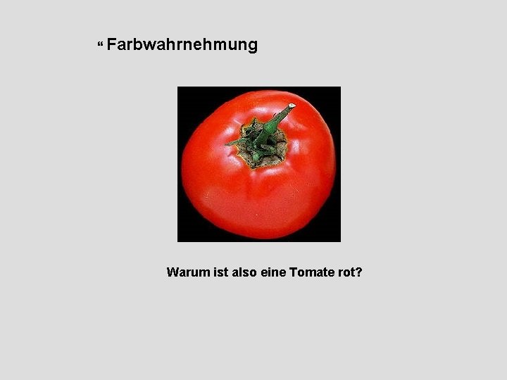  Farbwahrnehmung Warum ist also eine Tomate rot? 