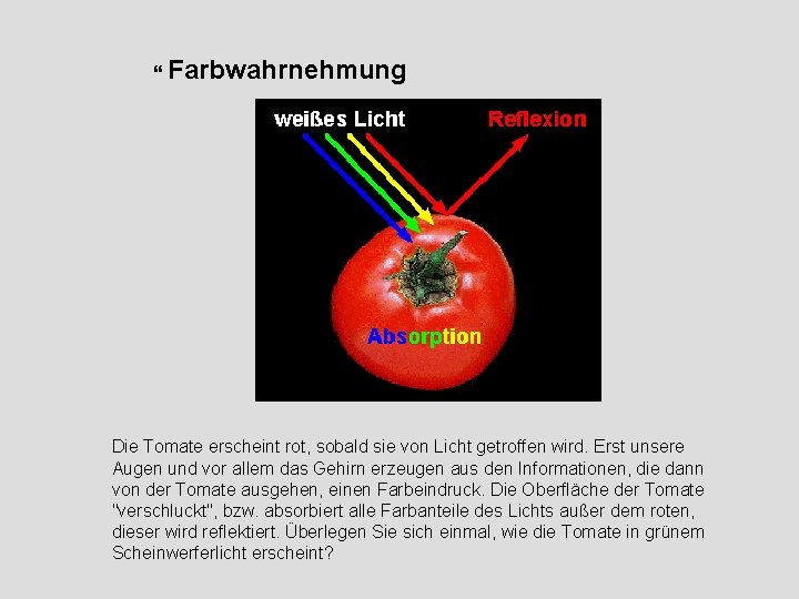  Farbwahrnehmung Die Tomate erscheint rot, sobald sie von Licht getroffen wird. Erst unsere
