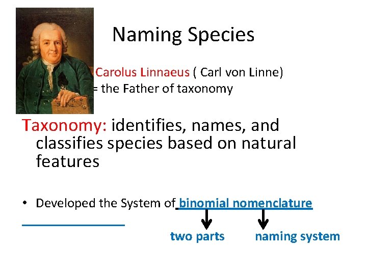 Naming Species = Carolus Linnaeus ( Carl von Linne) = the Father of taxonomy