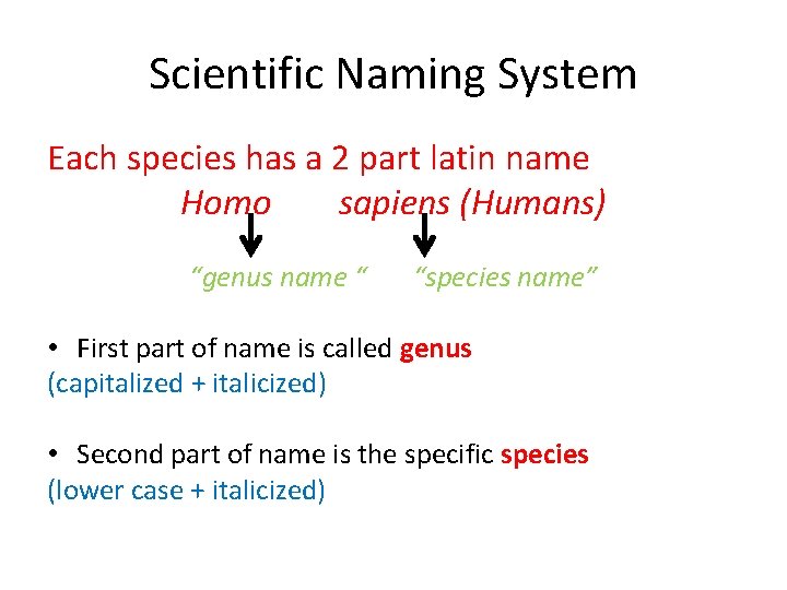 Scientific Naming System Each species has a 2 part latin name Homo sapiens (Humans)