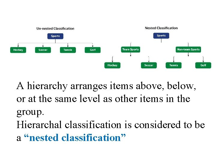 A hierarchy arranges items above, below, or at the same level as other items