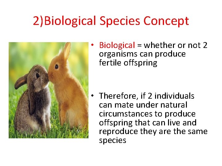 2)Biological Species Concept • Biological = whether or not 2 organisms can produce fertile