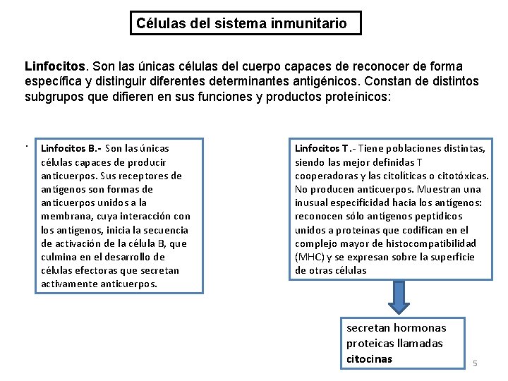 Células del sistema inmunitario Linfocitos. Son las únicas células del cuerpo capaces de reconocer