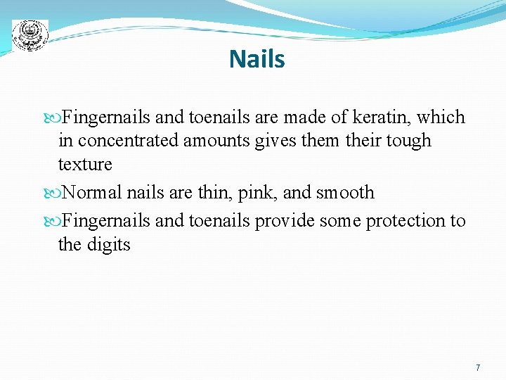 Nails Fingernails and toenails are made of keratin, which in concentrated amounts gives them