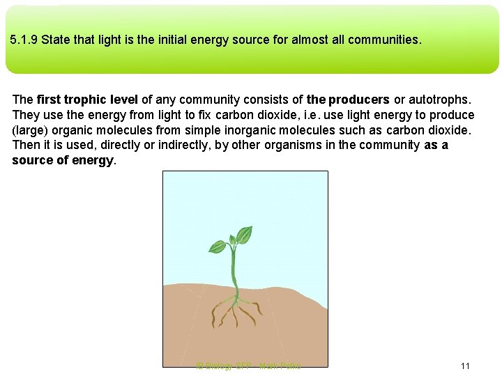 5. 1. 9 State that light is the initial energy source for almost all 5. 1. 9 State that light is the initial energy source for almost all