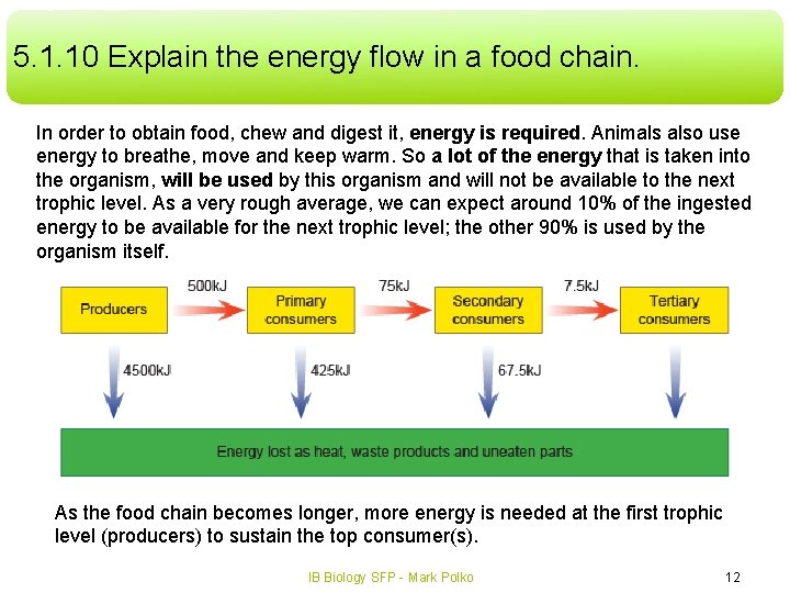 5. 1. 10 Explain the energy flow in a food chain. In order to 5. 1. 10 Explain the energy flow in a food chain. In order to