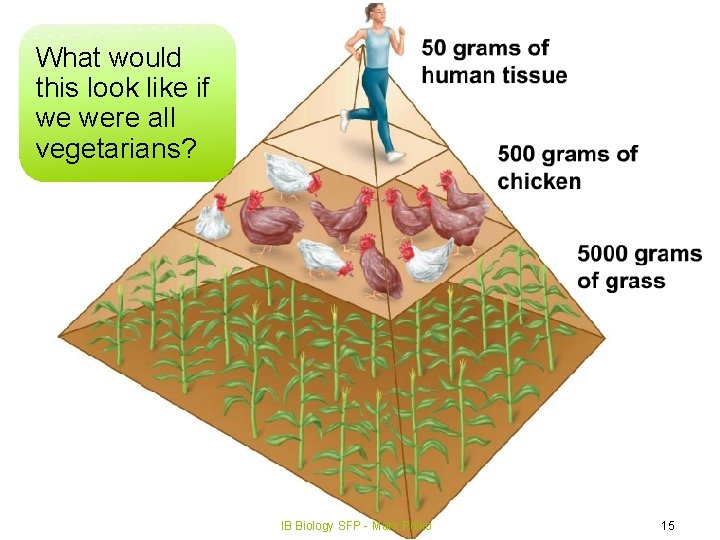 What would this look like if we were all vegetarians? IB Biology SFP - What would this look like if we were all vegetarians? IB Biology SFP -
