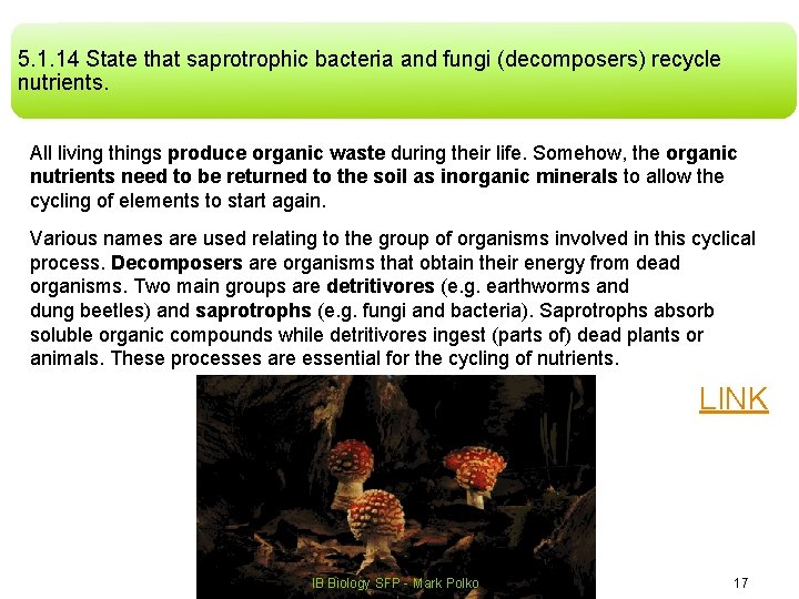 5. 1. 14 State that saprotrophic bacteria and fungi (decomposers) recycle nutrients. All living 5. 1. 14 State that saprotrophic bacteria and fungi (decomposers) recycle nutrients. All living