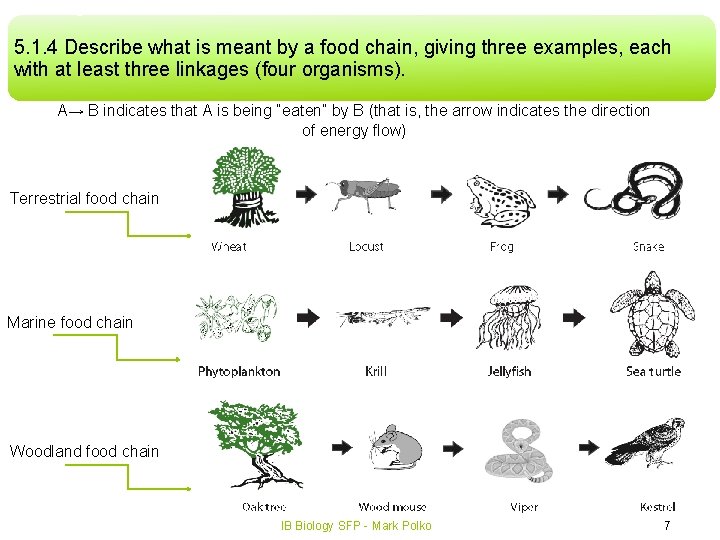 5. 1. 4 Describe what is meant by a food chain, giving three examples, 5. 1. 4 Describe what is meant by a food chain, giving three examples,