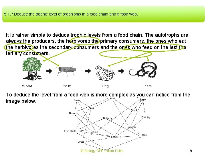 5. 1. 7 Deduce the trophic level of organisms in a food chain and 5. 1. 7 Deduce the trophic level of organisms in a food chain and