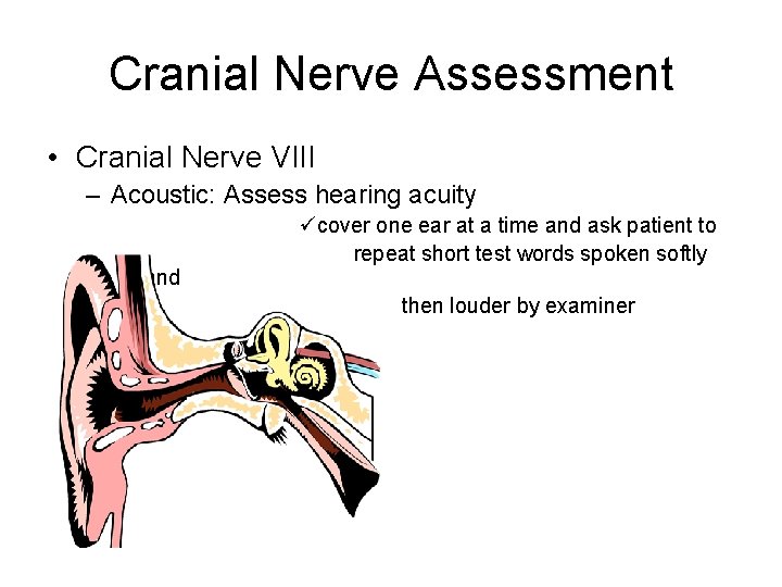 Cranial Nerve Assessment • Cranial Nerve VIII – Acoustic: Assess hearing acuity and cover