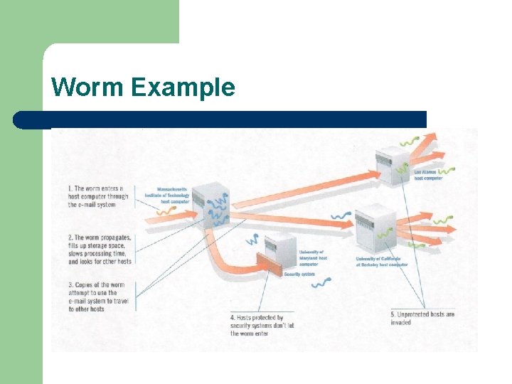 Worm Example 