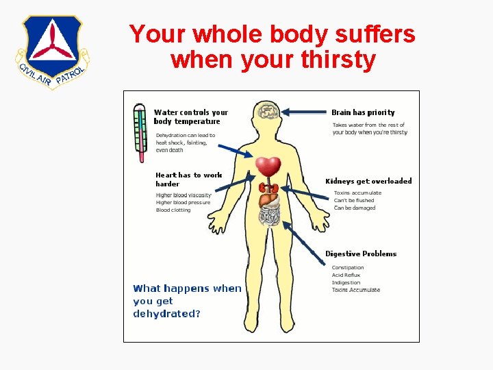 Your whole body suffers when your thirsty 