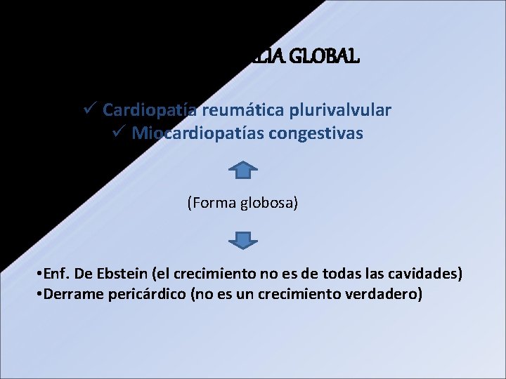 CARDIO MEGALIA GLOBAL ü Cardiopatía reumática plurivalvular ü Miocardiopatías congestivas (Forma globosa) • Enf. CARDIO MEGALIA GLOBAL ü Cardiopatía reumática plurivalvular ü Miocardiopatías congestivas (Forma globosa) • Enf.