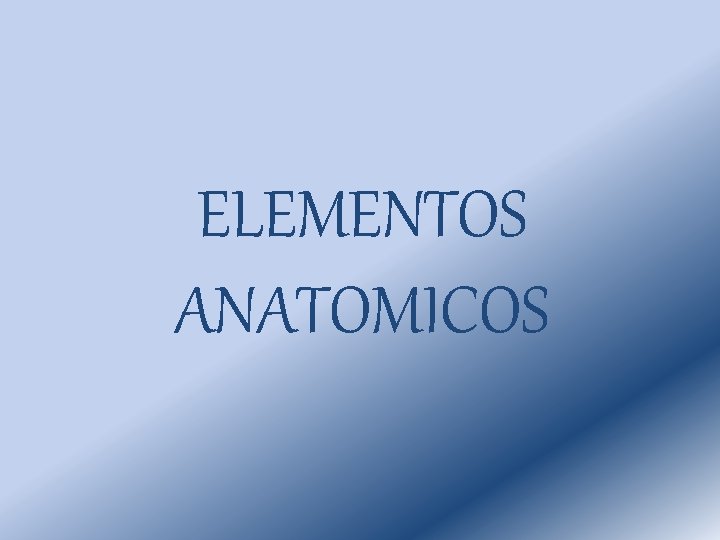 ELEMENTOS ANATOMICOS ELEMENTOS ANATOMICOS