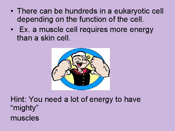  • There can be hundreds in a eukaryotic cell depending on the function