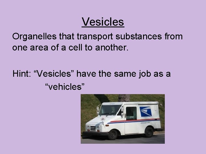 Vesicles Organelles that transport substances from one area of a cell to another. Hint: