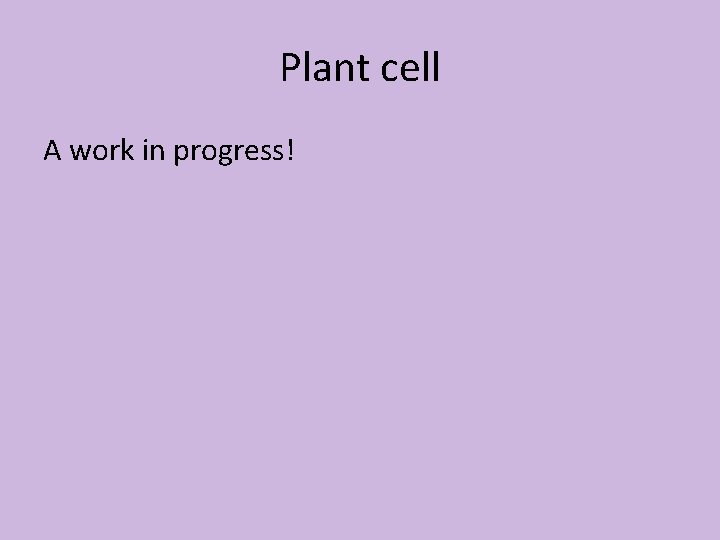 Plant cell A work in progress! 
