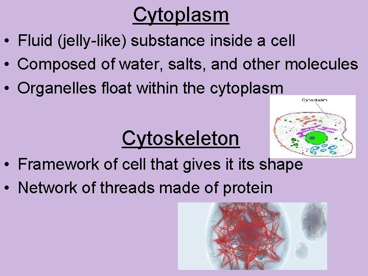 Cytoplasm • Fluid (jelly-like) substance inside a cell • Composed of water, salts, and